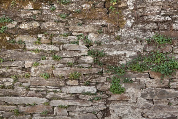 古い石積み 背景テクスチャ — ストック写真