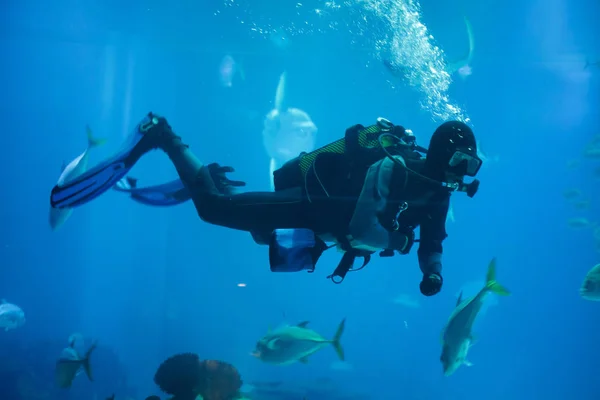 Diver diving with a scuba set. — Stock Photo, Image