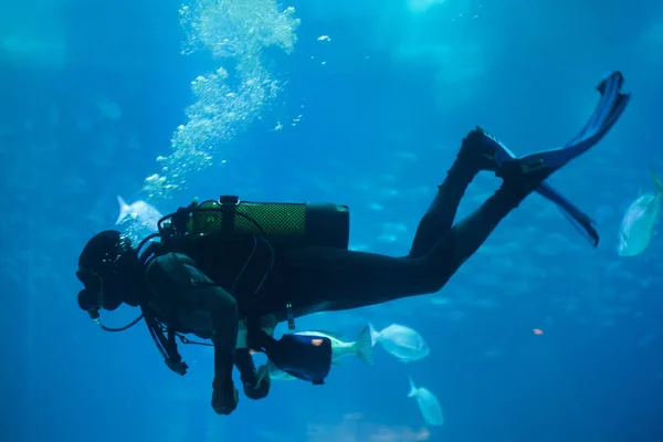 Diver Diving Scuba Set Sea — Stock Photo, Image