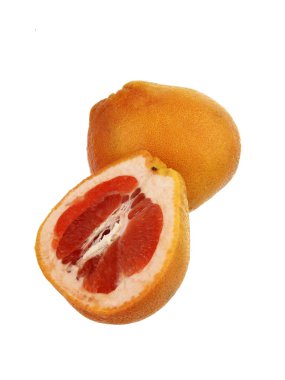     Beyaz bir arka plan üzerinde çekim