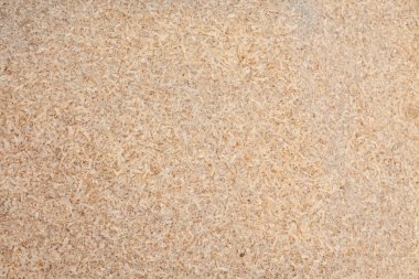 Küçük kuru talaş dokusu ve beyaz ahşap talaşı.