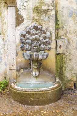 Villa borghese Parkı, Roma, İtalya, heykel yolluk çeşmede önden görünümü