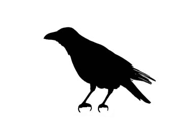 Beyaz arka plan üzerinde siyah-beyaz grafik siluet kuş