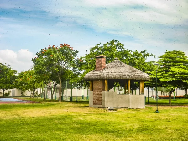 Ekvador Samborondon bölgesindeki özel mahalle parkında Beautil ve huzur dolu bir manzara.