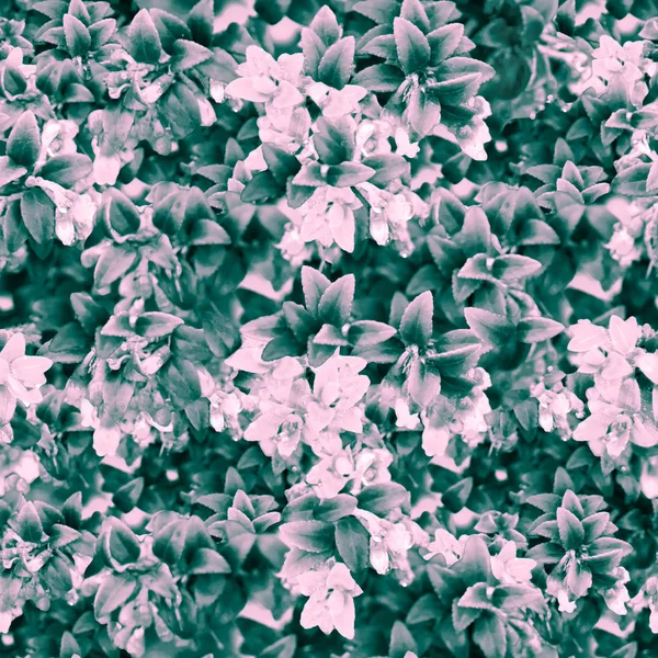 数码照片拼贴与操作技术自然花卉拼贴画图案在淡粉红色和绿松石色调的无缝模式设计 — 图库照片