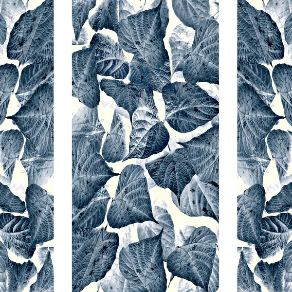 垂直縞模様白地に藍色の花をモチーフにしたコラージュと操作テクニック デジタル写真 — ストック写真