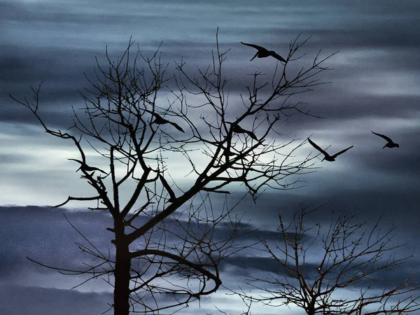 Sílhueta Árvore Cena Noturna Sobre Céu Bakground Cena Foto Digital — Fotografia de Stock