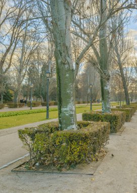 İspanya 'nın Madrid şehrinin en büyük eğlence parkı El Retiro tarihi gaden parkındaki şehir günü sahnesi.