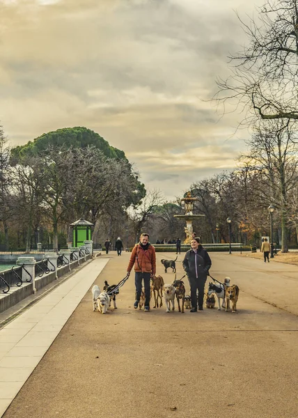 Madryt Hiszpania Grudzień 2017 Urban Zima Sceny Ludźmi Retiro Park — Zdjęcie stockowe