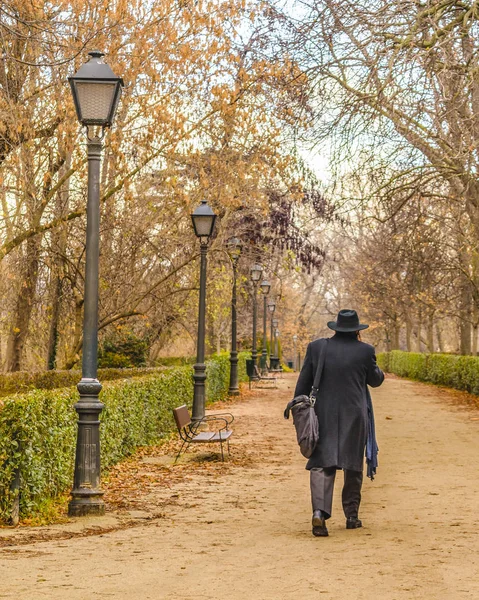 Scena Del Giorno Urbano Nel Parco Storico Del Gaden Retiro — Foto Stock