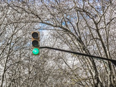 Yeşil ışık kentsel ampul ormanlık arka plan üzerinde