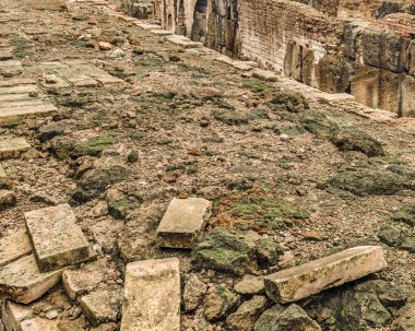 Roma şehir, Italya kış zamanında Roma ünlü Landmark Coliseum stadyumun iç detay görünümü