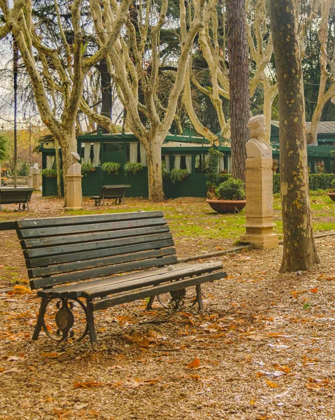 Scena Della Stagione Invernale Parco Villa Borghese Roma — Foto Stock