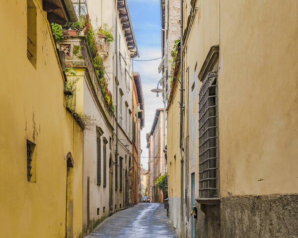 Historic urban street scene at lucca city, Tuscany, Italy