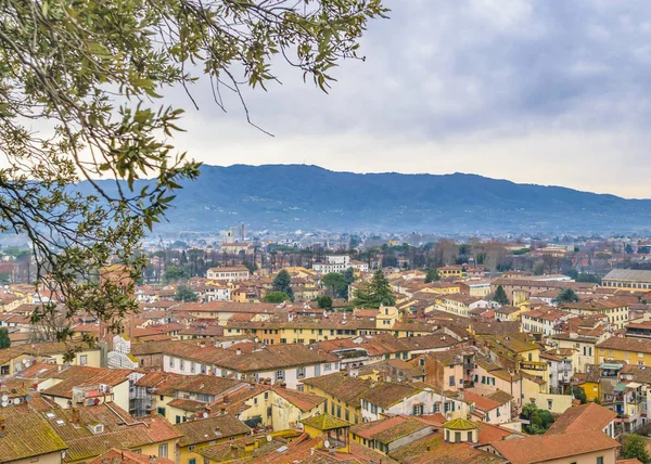Vista Aérea Del Centro Histórico Ciudad Lucca Desde Mirador Torre —  Fotos de Stock