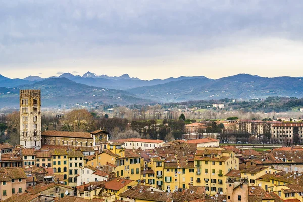 Vista Aérea Del Centro Histórico Ciudad Lucca Desde Mirador Torre —  Fotos de Stock