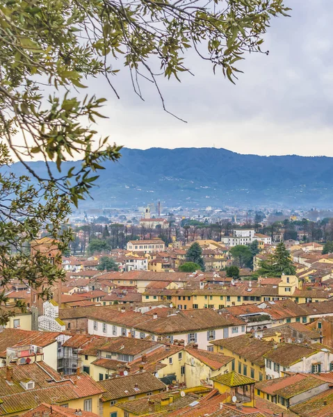 Vista Aérea Del Centro Histórico Ciudad Lucca Desde Mirador Torre —  Fotos de Stock