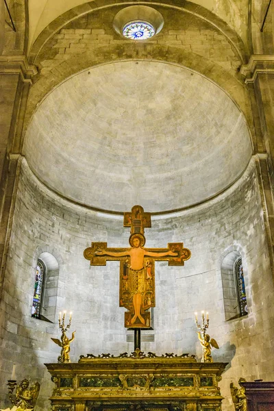 Lucca Italia Gennaio 2018 Veduta Interna Della Famosa Cattedrale San — Foto Stock