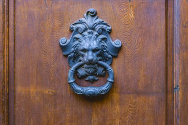 Lyon heykel süslü kapı fotoğraf knock önden görünüm