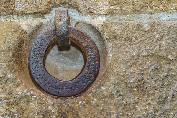 Vooraanzicht Cirkel Paard Houder Stenen Muur — Stockfoto