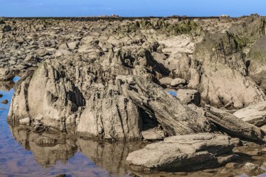Boş kayalık sahil sahne City'deki Montevideo, Uruguay