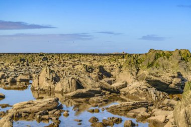Boş kayalık sahil sahne City'deki Montevideo, Uruguay