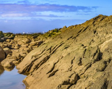 Boş kayalık sahil sahne, Montevideo, Uruguay
