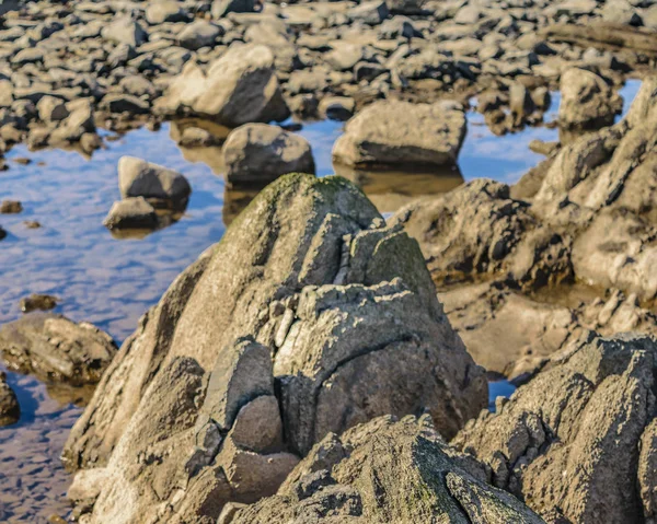 Empty Rocky Coastal Scene Montevideo Uruguay — Stock Photo, Image