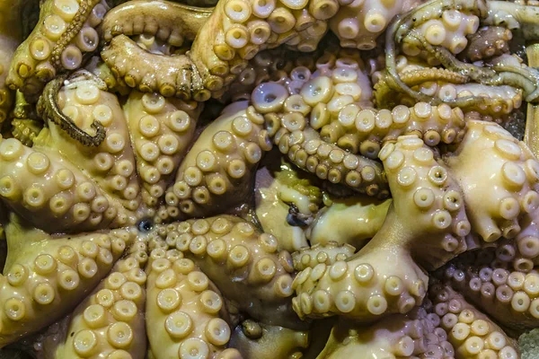 Close up view octopus tentacles at street market in venice city, Italy