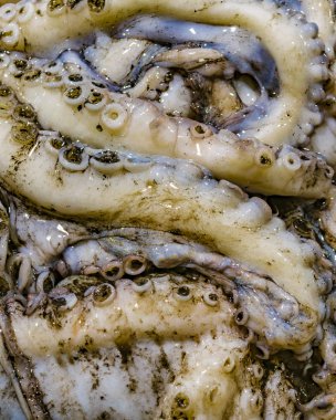 Görünüm ahtapot tentacles Venedik şehir, İtalya sokak pazarında kapatın