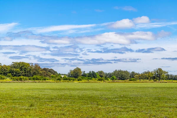 Scène Prairie Ensoleillée Parc Indigène Dans Département Maldonado Uruguay — Photo