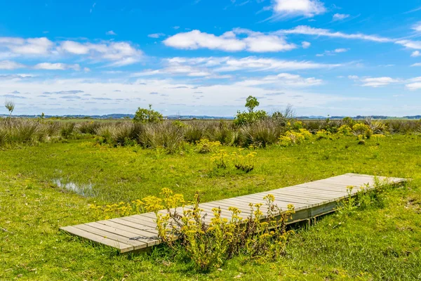 Scène Prairie Ensoleillée Parc Indigène Dans Département Maldonado Uruguay — Photo