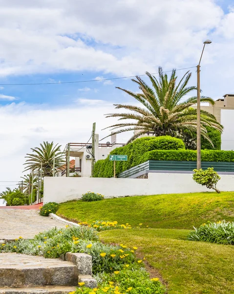 Běloskvoucí Zahrady Domy Luxusní Čtvrti Punta Del Este Město Uruguay — Stock fotografie