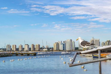 Kış gün olay yerinde bağlantı noktası Punta del este şehir, Uruguay