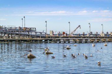 Kış gün olay yerinde bağlantı noktası Punta del este şehir, Uruguay