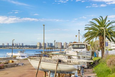 Punta Del Este, Uruguay, Ekim - 2018 - muhtelif ve tekneler limanda punta Park del este şehir, Uruguay