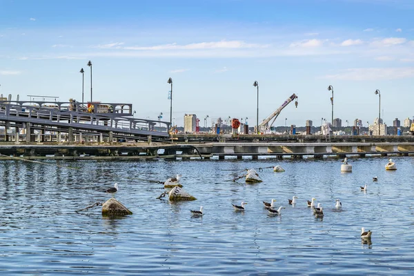 Kış gün olay yerinde bağlantı noktası Punta del este şehir, Uruguay