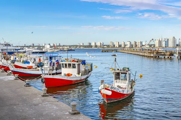 Punta Del Este Uruguay Ekim 2018 Eski Küçük Balıkçı Tekneleri — Stok fotoğraf