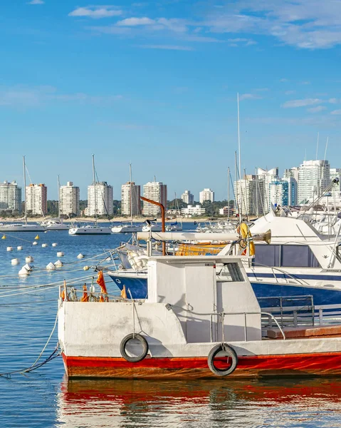 Punta Del Este Uruguay Oktober 2018 Wintertag Szene Hafen Der — Stockfoto