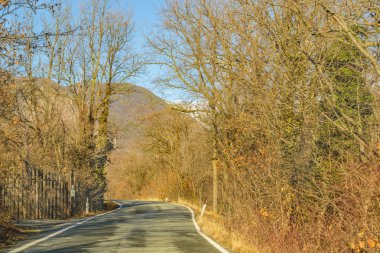 Sürücü görüş boş rota surrounede rota piamonte bölgesi, İtalya, ağaçlara tarafından