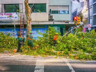 Montevideo, Uruguay, Mart - 2018 - ağaç için sokaklarda temizlik Belediyesi işçilerin grup düşmüş.