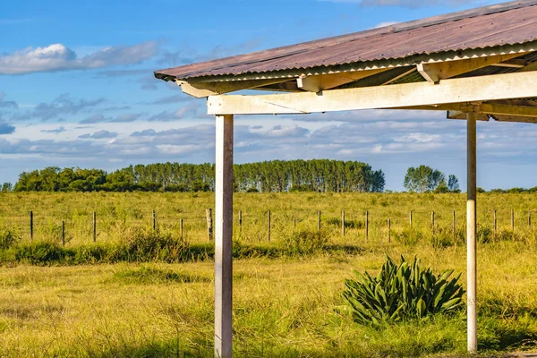 Tranquil Field Environment Scene San Jose Department Uruguay — Stock Photo, Image