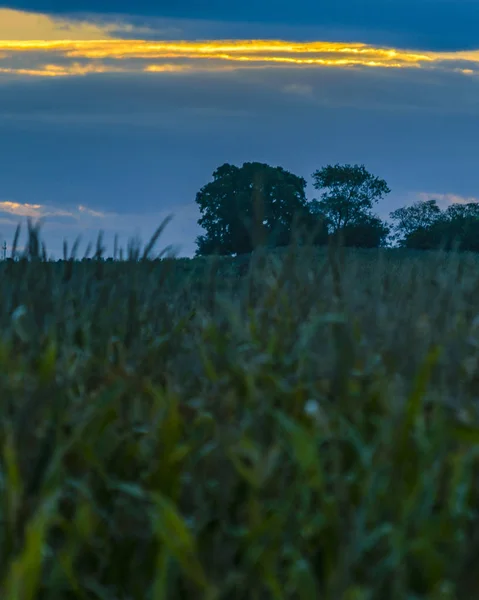 Paisaje Del Prado Del Atardecer Departamento San Jose Uruguay —  Fotos de Stock