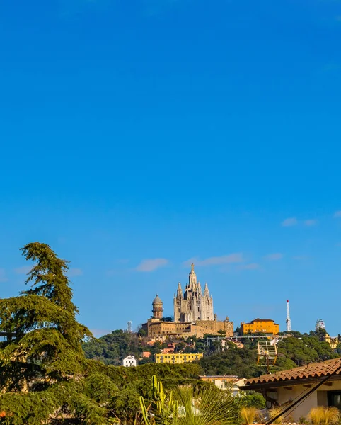 Blue Sky Surrounded Trees Sacred Jesus Temple Distant Tibidabo Park — Stock Photo, Image