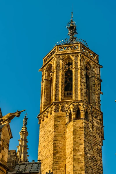 Vista Detalle Torre Exterior Famosa Catedral Ciudad Barcelona Situada Barrio —  Fotos de Stock