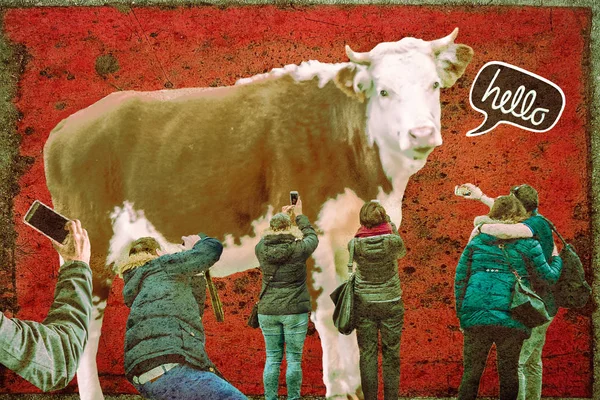 Zeitgenössische Kunst Collage Technik Lustiges Design — Stockfoto