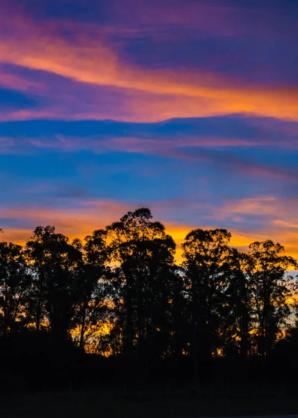 Uruguay Campo Puesta Del Sol Escena Paisaje Desde Punto Vista — Foto de Stock