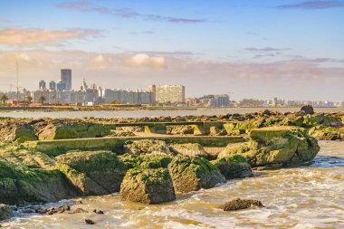 Bahar süre manzara kıyı mahallinde şehirde montevideo, Uruguay'nın başkenti