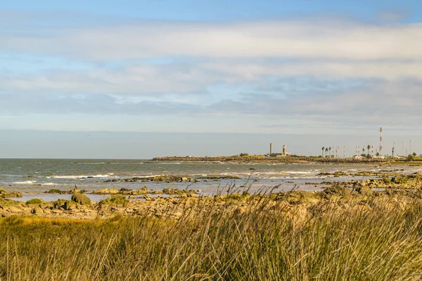 Liggande Kustområden Scen Våren Montevideo Stad Huvudstad Uruguay — Stockfoto