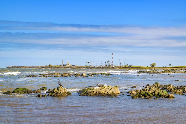 Fekvő Tengerparti Jelenet Tavasszal Város Montevideo Uruguay Fővárosa — Stock Fotó